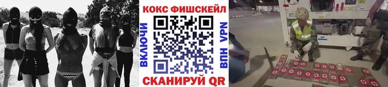 Кокаин Fish Scale  Купить где  Бор 