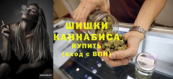 меф Ельня