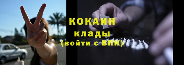 меф Ельня