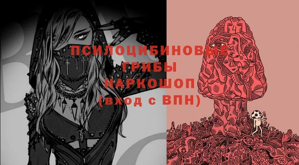 твердый Елизово