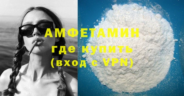меф Ельня