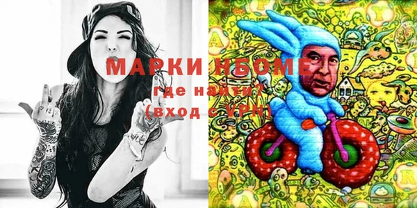 меф Ельня