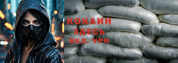 меф Ельня