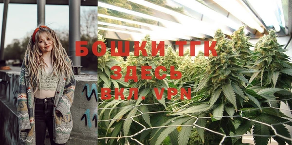твердый Елизово
