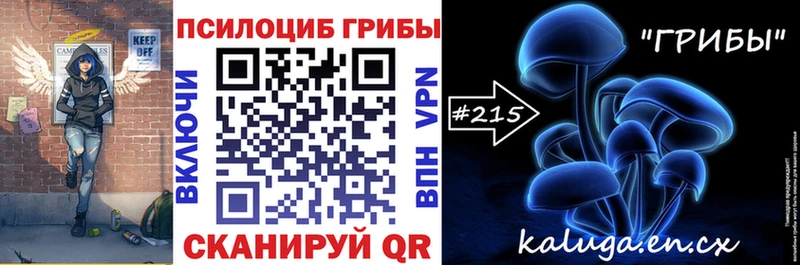 Купить  Бор  Псилоцибиновые грибы прущие грибы 