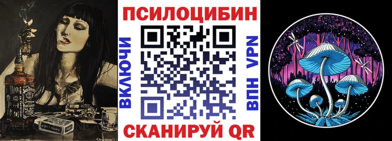 Псилоцибиновые грибы прущие грибы Бор